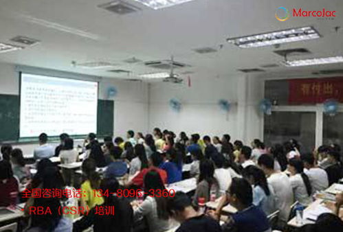 自貢RBA驗(yàn)廠要求下的碳排放管理與信息技術(shù)咨詢服務(wù)