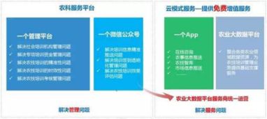 耕者為農(nóng)，云為鋤——神州信息農(nóng)業(yè)云的信息技術(shù)咨詢服務(wù)